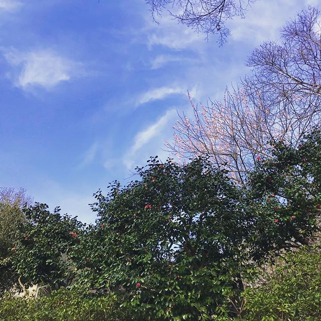 Instagramから投稿